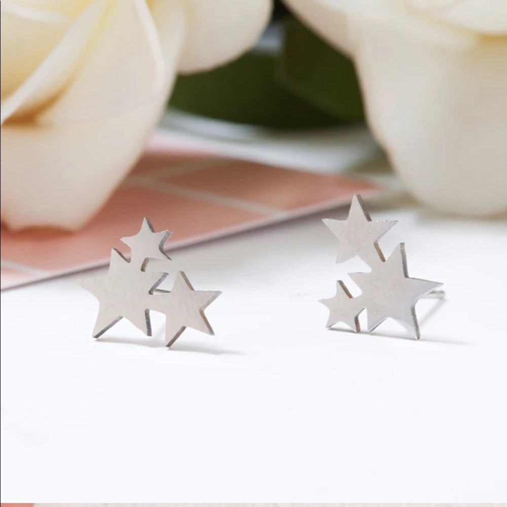 STAINLESS STEEL ☆ LYNX Stud Earrings - Picture 2 of 8